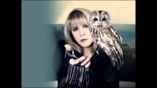 Stevie Nicks   I still Miss Someone