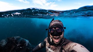 Shipwrecks and Sea Dragons on The Sapphire Coast