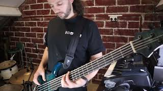 U2 - Christmas (Baby Please Come Home) (bass cover)
