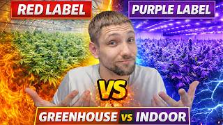 Is Indoor REALLY Worth It? 🤔 JK Distro Red vs. Purple label Thca Review