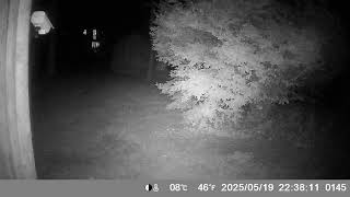 IMAG0144 - What Animal Is This? May 18 2025