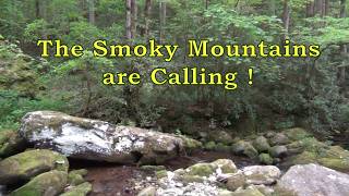 Roaring Fork Motor Nature Trail - Preview - Waterfall & Wildlife