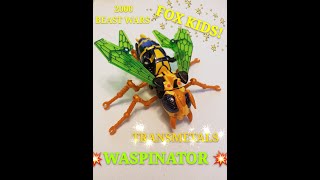 Transformers Review on the 2000 Fox Kids Transmetals Waspinator!