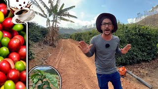 With Planning the Result is Different, it Stands Out in Coffee Production