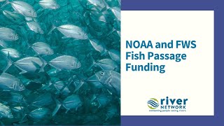 NOAA and FWS Fish Passage Funding