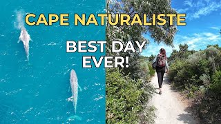 I Had No Idea Blue Whales Were Here.. Until Yesterday | Cape Naturaliste Vlog