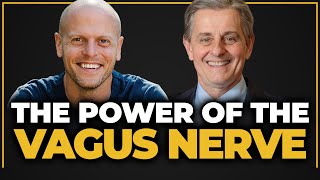What Most Has My Attention Right Now — Credible (vs. Bogus) Vagus Nerve Stimulation
