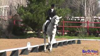 019D Stacey Winter Open Intermediate Dressage Copper Meadows March 2013