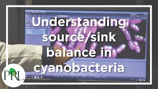 Ducat lab: Understanding source/sink balance in cyanobacteria