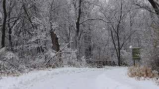 SNOW FALL, STARING LAKE, EDEN PRAIRIE MN. #minnesota #snowfall #videocreator #snow