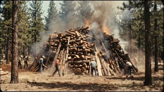 UNSEEN FOOTAGE: Watch Traditional Charcoal Making in Germany!