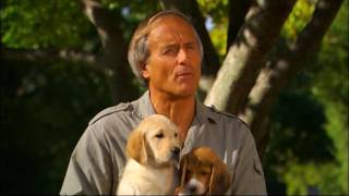 Jack Hanna