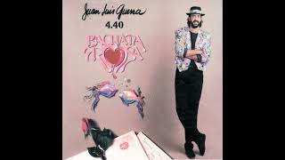 JUAN LUIS GUERRA - Ccomo abeja al panal  (Te to - inglés-español)
