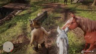 Red Dead Redemption II - PlayStation 4 Live Gameplay
