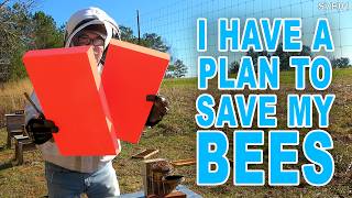 Emergency Measures | Can I save my bees before it's too late?