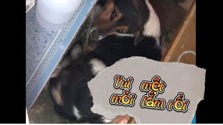 Hậu trường Sâu Tivi | Những Thước Phim Chưa Được Lên Sóng