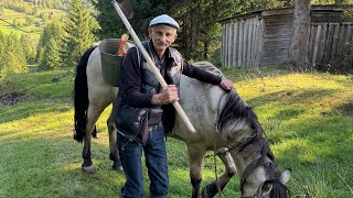 Authentic Village Life: Lonely Grandpa’s Life in the Carpathian Mountains | Heartfelt Rural Story