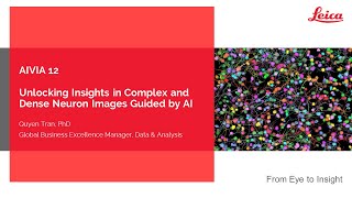 Aivia 12 [Launch] - Unlocking Insights in Complex and Dense Neuron Images Guided by AI