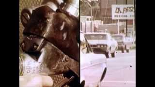 How To Squeeze More Miles From Your Car (1976)