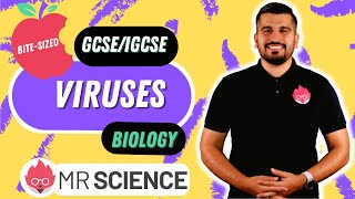 Viruses | Bite-sized | GCSE | IGCSE Biology | Mr Science in 8K