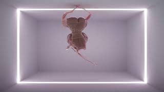 IGORRR'S   VERY NOISE  but is reversed and rotated