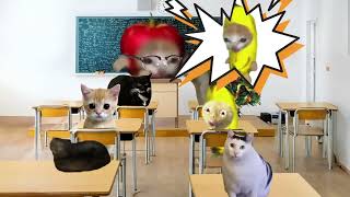 BANANA CAT's School Life Collection EP1😹🍌 [FULL SCREEN]