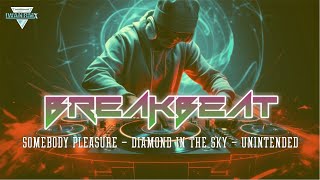 BREAKBEAT BARAT FULL BASS SOMEBODY PLEASURE - DIAMOND IN THE SKY - UNINTENDED