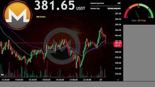 XMR | Live Stream 24/7 | OFFICIAL MONERO | XMR USDT | Trading Signals Chart