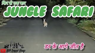Jungle Safari | Wardha | Tadoba | Pench | @bgptravelvlogs