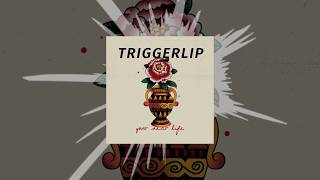 Triggerlip - Ashes (Official Stream)