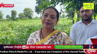 सोयाबीन भिजले, कपासी, संत्रा जमिनीवर Adv Yashomati Thakur यांचेकडून पाहणी; तात्काळ मदतीची मागणी