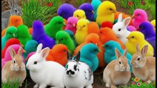 The Most Colorful Moment in Nature You’ve Never Seen!