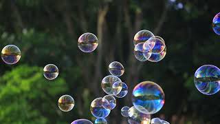 vecteezy soap bubbles floating in the air with natural green blurred