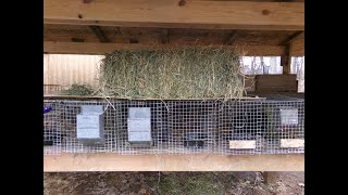 The Best DIY Hay Feeder for Rabbits