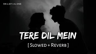 Tere Dil Mein - Lofi (Slowed + Reverb) | Rito Riba | Elvish Yadav, Jannat Zubair | RN Lofi Alone