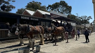 Sovereign Hill Tour, Ballarat, team tour after national championships 2024