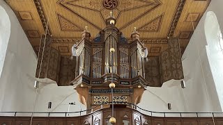 Michael Praetorius: Nun Lob mein Seel den Herrn | 1619 Edo Evers | Oldest Renaissance Organ, Germany