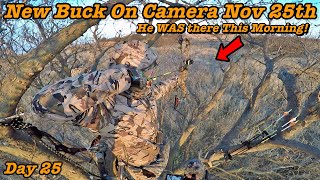 New Buck Bow Hunting Late Rut Deer Hunting 2022