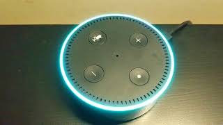 Discipline The Kids Alexa Skill