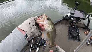Carolina Rig: Great Technique for Catching Summer Bass on the Slowest Days! (Cherokee Lake)