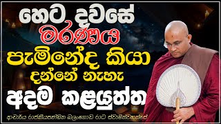 හෙට කුමක් සිදුවේද? අද කළ යුත්තේ කුමක්ද?  Ven Balangoda Radha Thero Ama Dora Viwara Viya