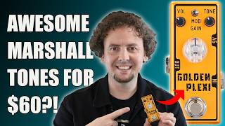 Tone City Golden Plexi 3 | The best budget Marshall In A Box got even better? In-depth Review & Demo