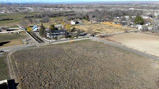 We Bought Something New! 🤩🙌💚// Garden Answer