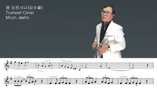 왜 모르시나(김수철)Trumpet Cover Moon Jaeho