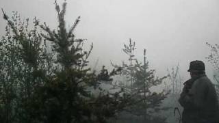 feu de foret manawan 016