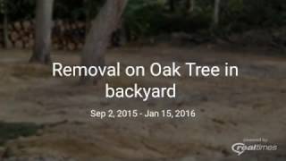 New Jersey Backyard Oak Tree Removal