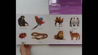 Puzzle First animals Line @jolly_chadasaa