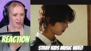 This Is Their Story! - Reacting to 'Stray Kids' M/V by Stray Kids