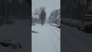 First real snow fall for Toronto in 2024!!!