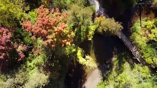 Hungry Hollow, Georgetown, Ontario